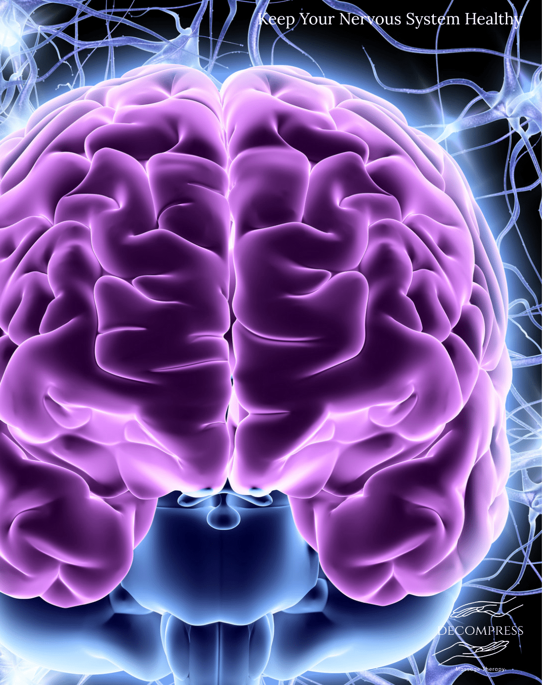 Is Your Nervous System Begging for a Massage? 1 Nervous system